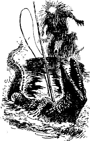 Залив bolshoisolyanik_clip_image002.png