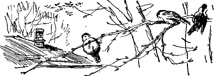 Утро года i_005.png