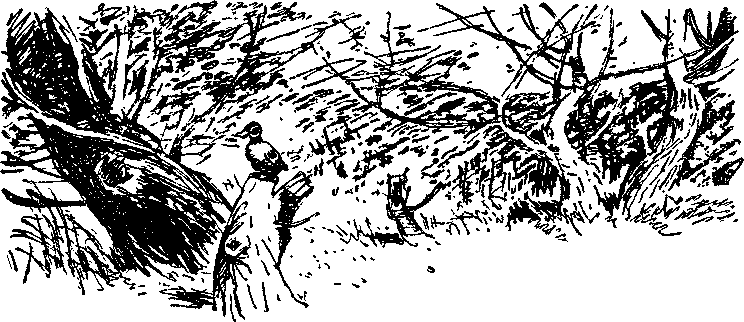 Утро года i_010.png