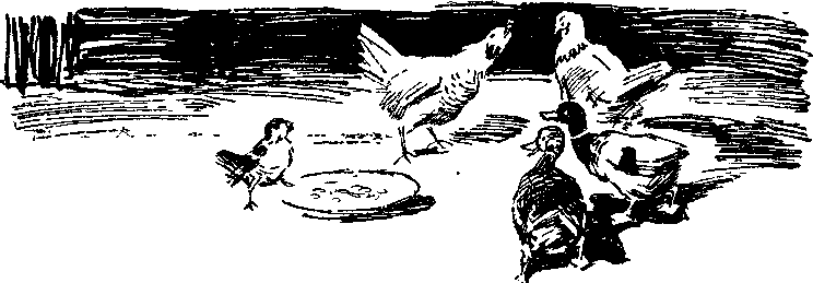 Утро года i_011.png