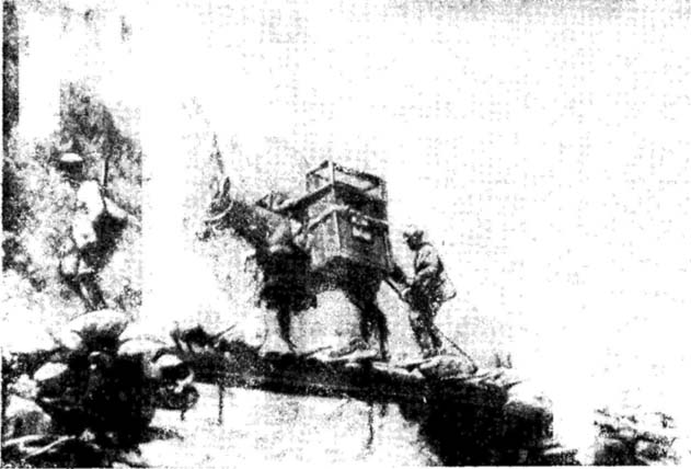 Боевые действия горных войск gorn_img_01.jpg