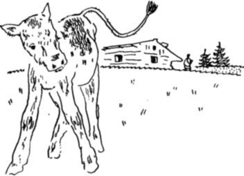 Богатый человек (сборник) i_012.jpg