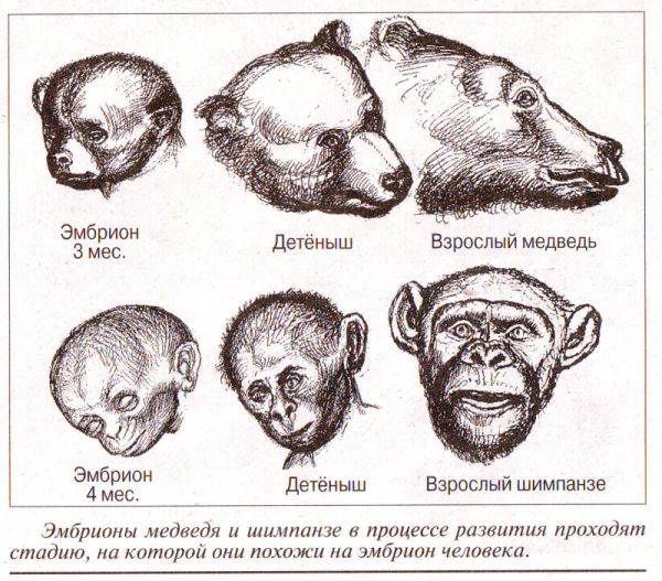 Интервью i_002.jpg
