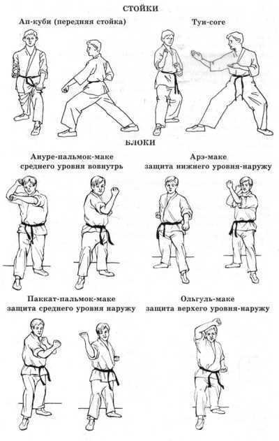 Система здоровья Норбекова и Сам Чон До. Полный курс hvan_pr_1.jpg