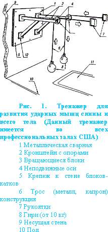 Его величество удар image_2.png