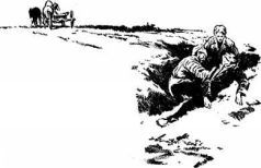 Рубин эмира бухарского pic_13.jpg