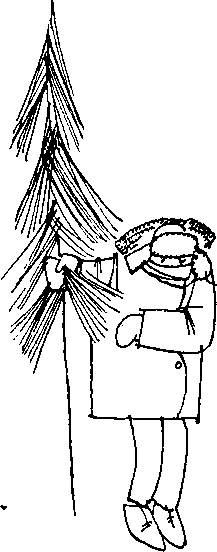 Шашлык на свежем воздухе i_010.png