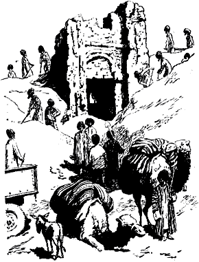 Зеленая пиала Untitled29.png