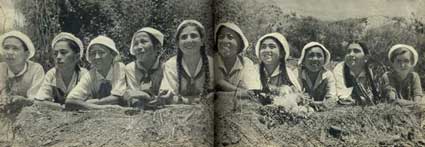 Артек i_287.jpg