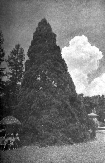 Артек i_053.jpg