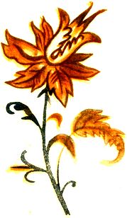 i_027.jpg