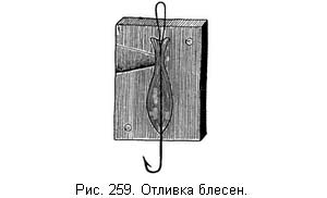 Жизнь и ловля пресноводных рыб ris259.jpg