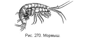 Жизнь и ловля пресноводных рыб ris270.jpg