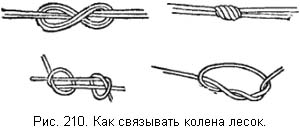 Жизнь и ловля пресноводных рыб ris210.jpg