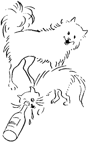 Воспоминания охотничьей собаки i_014.png