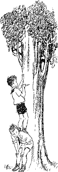 В пионерской республике _15.png