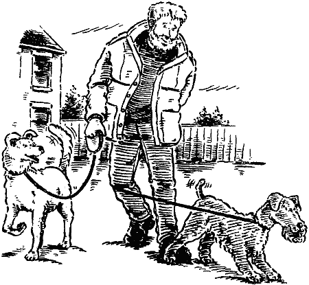 Рыцарь лохматого образа i_004.png