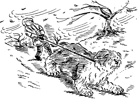 Рыцарь лохматого образа i_010.png