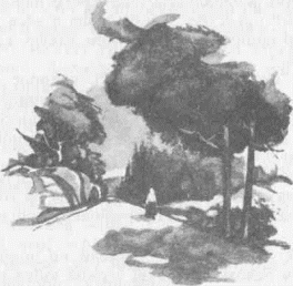 Бабушкина дорога i_010.png