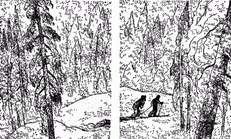 На диком бреге (с илл.) i_011.png