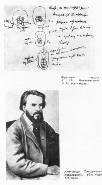 Мечников i_007.jpg