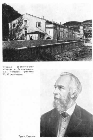 Мечников i_009.jpg
