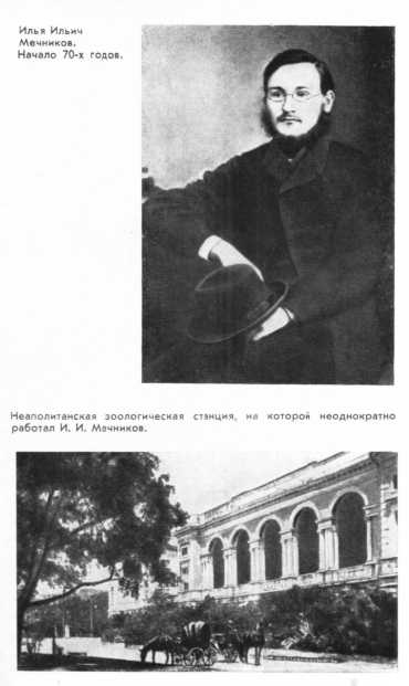 Мечников i_011.jpg