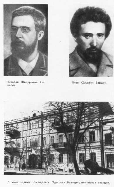 Мечников i_017.jpg