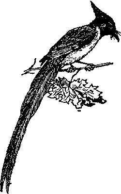 По родному краю Porod011_.png