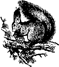По родному краю Porod031_.png
