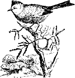 По родному краю Porod051_.png
