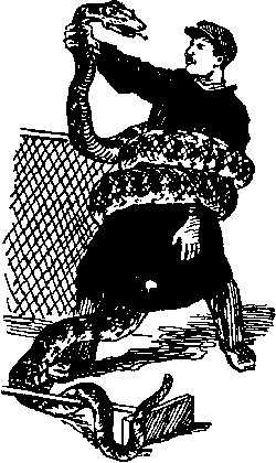 Ущелье барсов Uschb121_.png