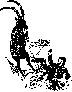 Ущелье барсов Uschb171_.png