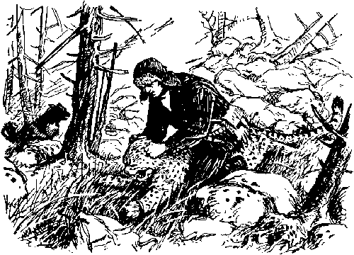 Ущелье барсов Uschb012_.png