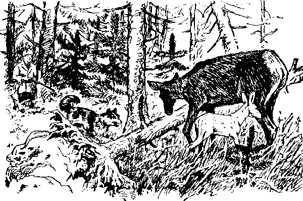 Ущелье барсов Uschb021_.png