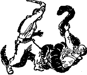 Звезда утренняя i_016.png