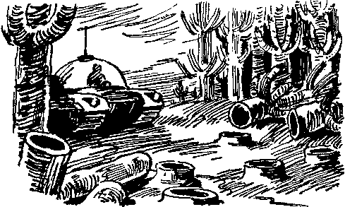 Звезда утренняя i_017.png