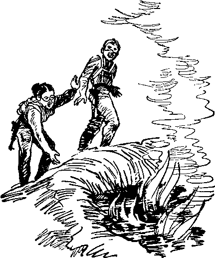 Звезда утренняя i_023.png