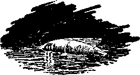 Звезда утренняя i_027.png