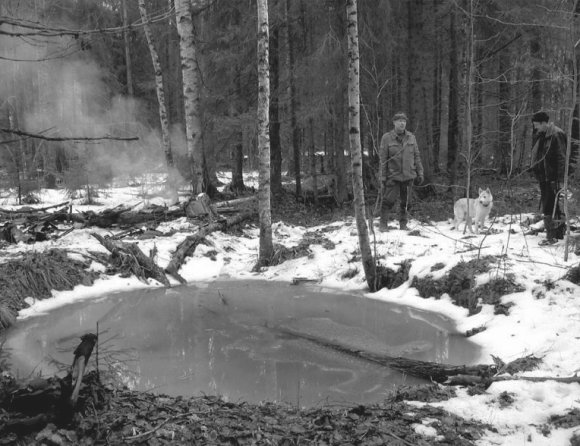 Советская авиация в боях над Красным Бором и Смердыней. Февраль-март 1943 prokofjev_img_74.jpg