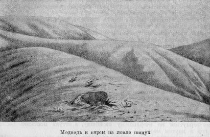 Из Зайсана через Хами в Тибет и на верховья Желтой реки i_025.jpg