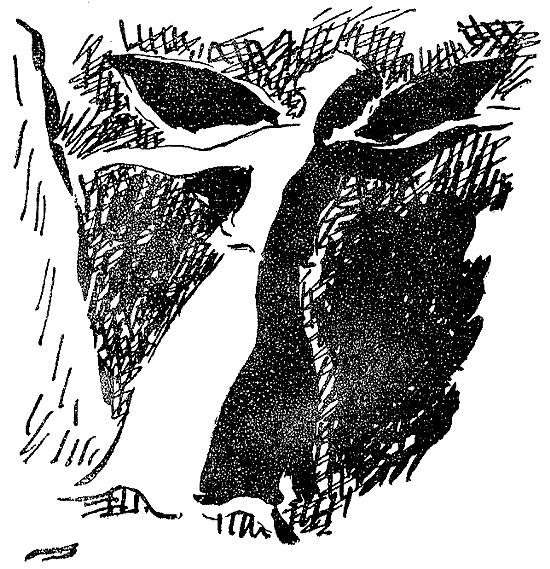 Искатель. 1969. Выпуск №2 i_032.png