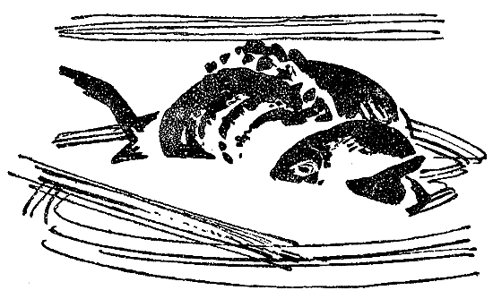 Искатель. 1969. Выпуск №2 i_038.png
