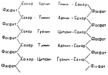 Три тайны жизни i_013.jpg