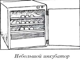 Разведение домашней птицы на ферме и приусадебном участке i_017.jpg