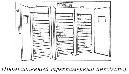 Разведение домашней птицы на ферме и приусадебном участке i_018.jpg