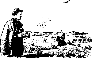 Конец белого пятна Konec012_.png