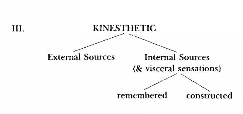 Neuro–Linguistic Programming: Volume I. The Study of the Structure of Subjective Experience img_24.png