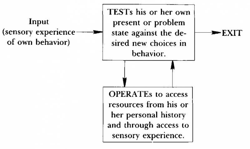 Neuro–Linguistic Programming: Volume I. The Study of the Structure of Subjective Experience img_65.png