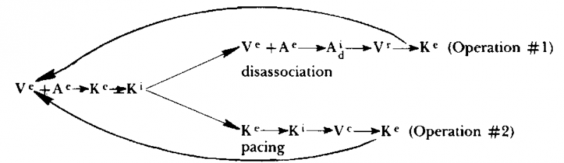 Neuro–Linguistic Programming: Volume I. The Study of the Structure of Subjective Experience img_66.png